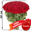 Фото товара 51 червона троянда (50см) у Тернополі