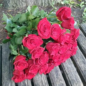33 червоні троянди в Тернополі фото