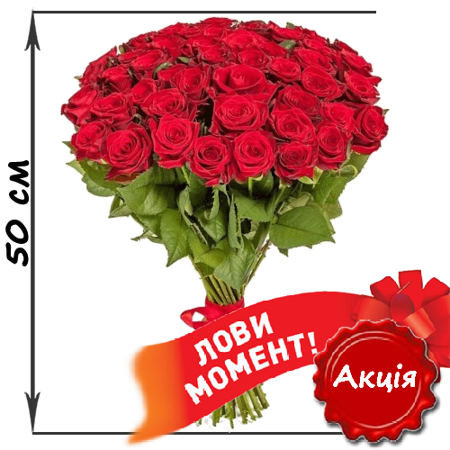 Фото товара 51 червона троянда (50см) у Тернополі