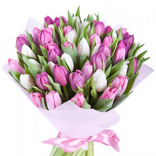 Фото товара 51 біло-рожевий тюльпан у Тернополі