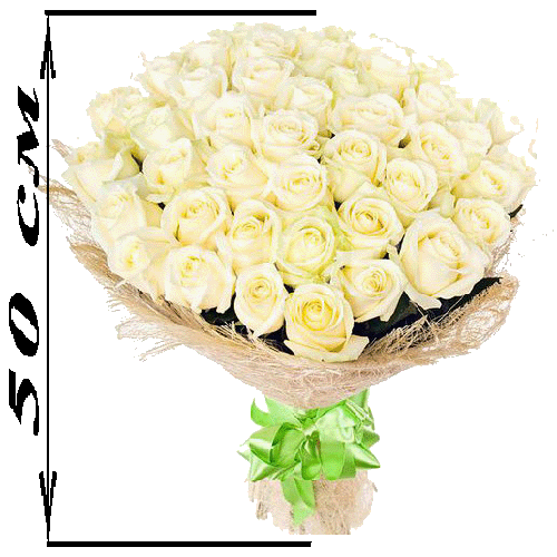 Фото товара 51 біла троянда (50 см) у Тернополі