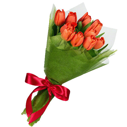 Фото товара 11 красных тюльпанов у Тернополі