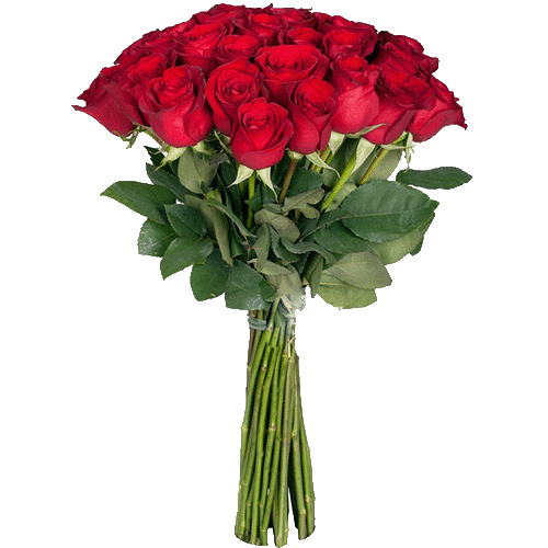 Фото товара Екстра троянда (поштучно) у Тернополі