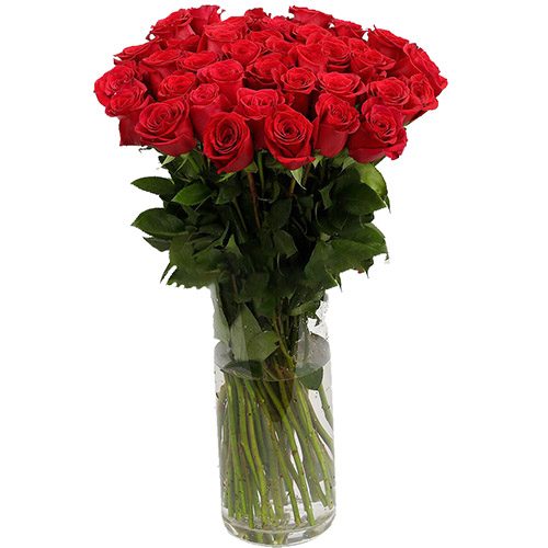 Фото товара Троянда імпортна червона (поштучно) у Тернополі