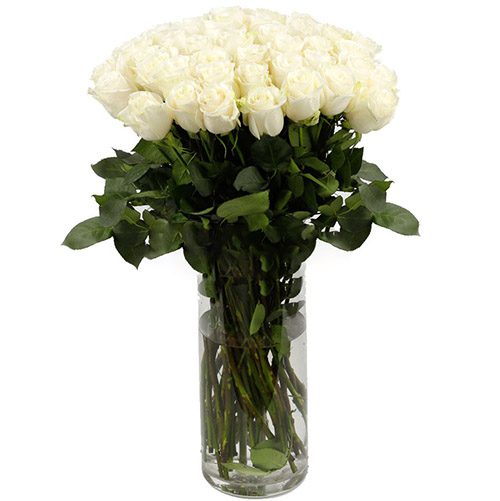 Фото товара Троянда імпортна біла (поштучно) у Тернополі