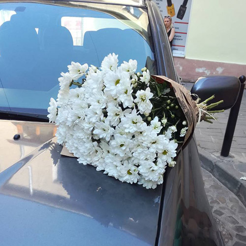 букет білих ромашок в Тернополі фото