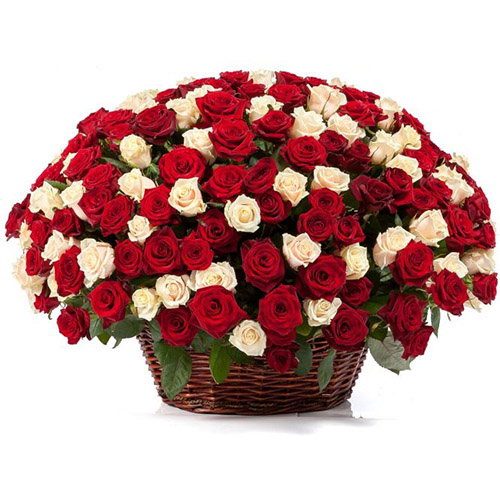 Фото товара 101 троянда мікс в кошику у Тернополі