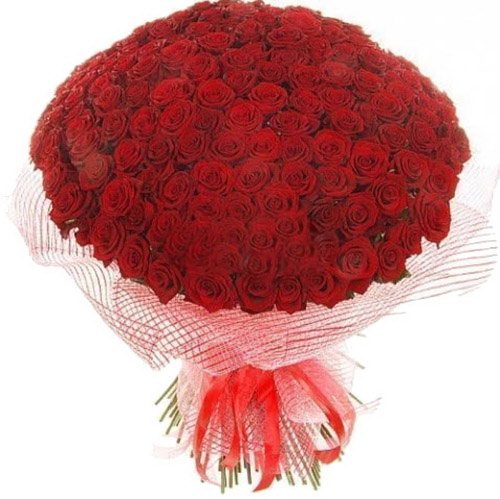 Фото товара 201 червона троянда у Тернополі