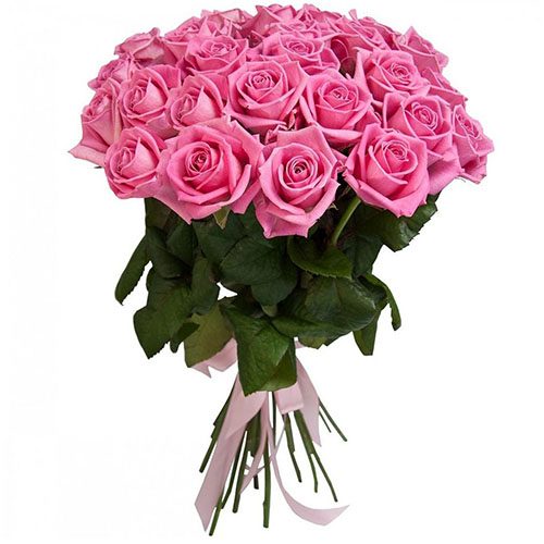 Фото товара 25 троянд "Аква" у Тернополі