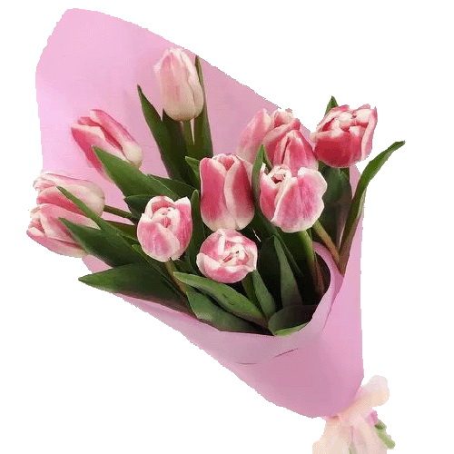 Фото товара 11 рожевих тюльпанів у Тернополі