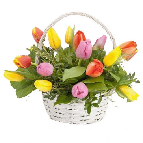 Фото товара 15 тюльпанів у кошику у Тернополі
