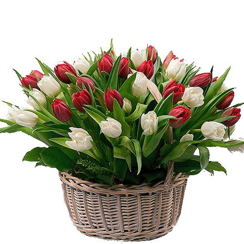 Фото товара 51 тюльпан у кошику у Тернополі