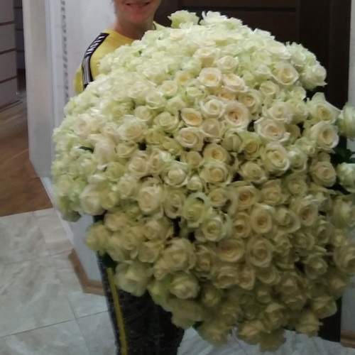 живе фото товару "301 біла троянда у великому вазоні"