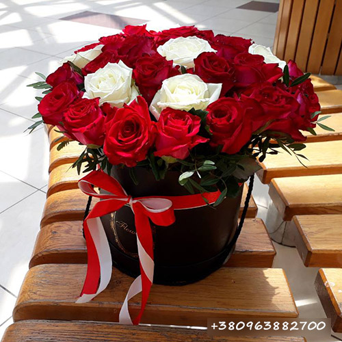 троянди в Тернополі фото
