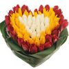 Фото товара 25 тюльпанов в коробке у Тернополі