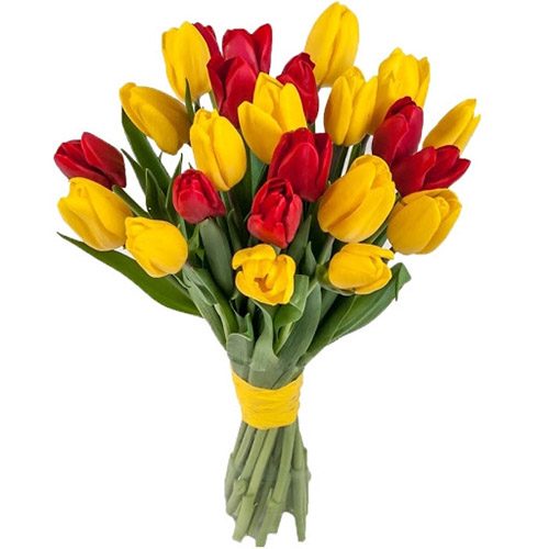 Фото товара 15 червоно-жовтих тюльпанів (зі стрічкою) у Тернополі