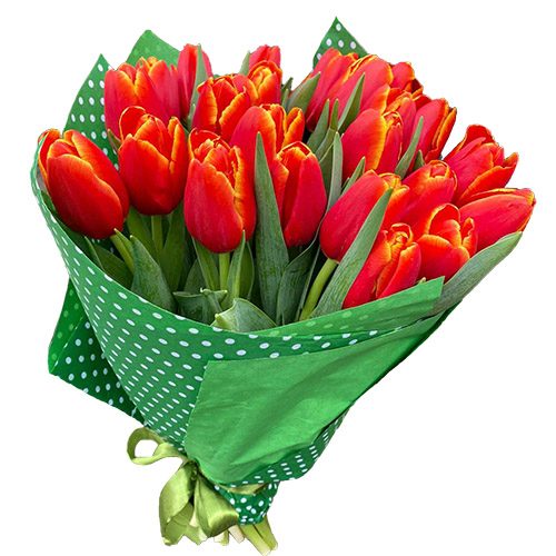Фото товара 21 тюльпан "Маковый цвет" у Тернополі
