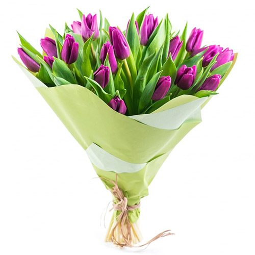 Фото товара 25 пурпурних тюльпанів у Тернополі
