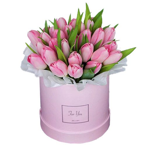 Фото товара 31 ніжно-рожевий тюльпан у коробці у Тернополі