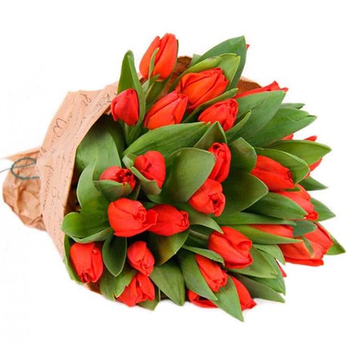 Фото товара 35 червоних тюльпанів у "газеті" у Тернополі