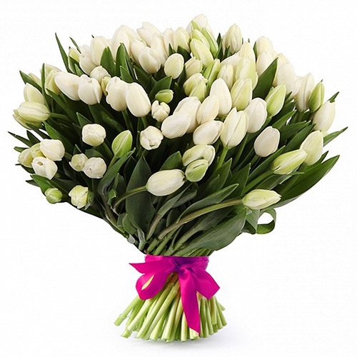 Фото товара 51 білий тюльпан "Джульєтта" у Тернополі