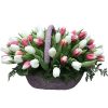 Фото товара 75 пурпурно-білих тюльпанів у Тернополі