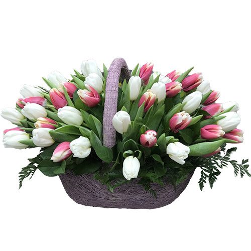 Фото товара 51 біло-рожевий тюльпан у кошику у Тернополі