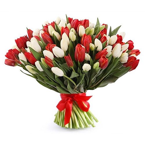 Фото товара 75 червоно-білих тюльпанів (зі стрічкою) у Тернополі