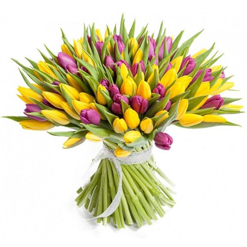 Фото товара 75 фіолетово-жовтих тюльпанів у Тернополі