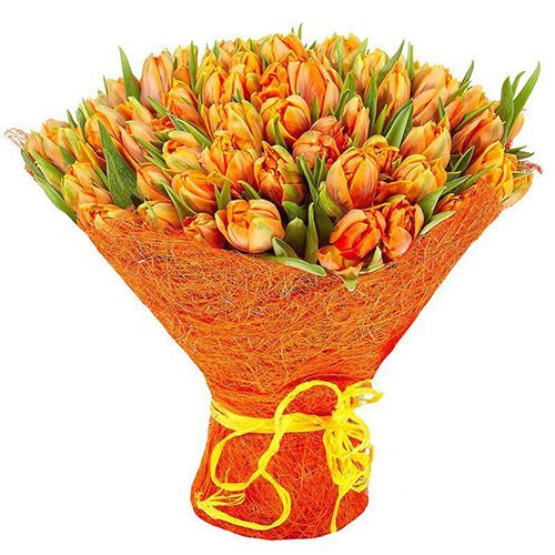 Фото товара 101 маковий тюльпан у Тернополі