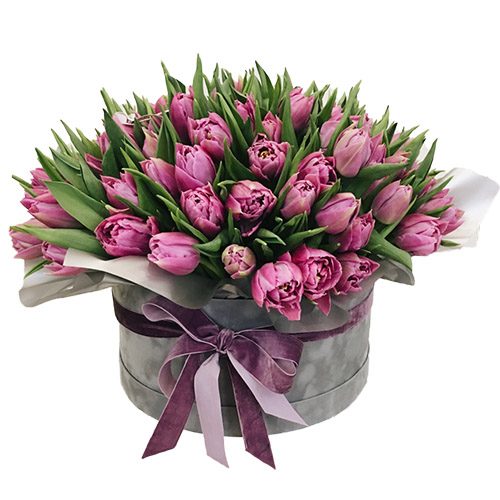 Фото товара 101 пурпурный тюльпан в коробке у Тернополі