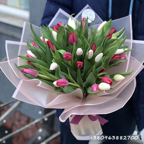 25 біло-рожевих тюльпанів фото букета