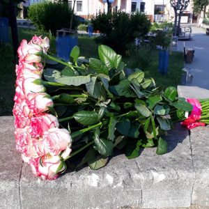 33 розовые розы Джумилия в Тернополе фото