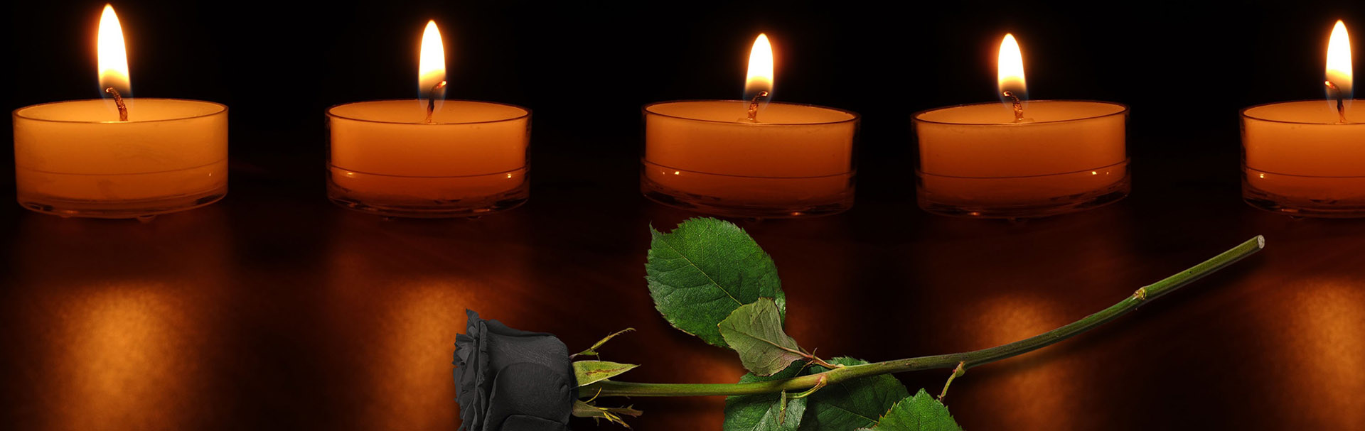 Заказ и доставка живых цветов на похороны «Роза Тернополь»