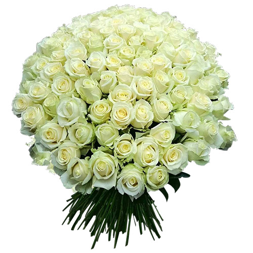 Фото товара 101 біла троянда у Тернополі