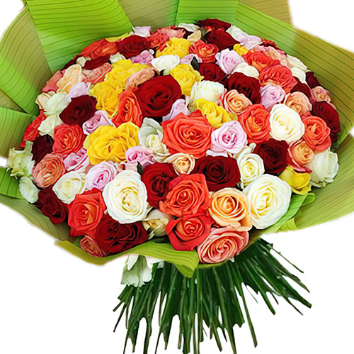 Фото товара 101 троянда мікс в упаковці у Тернополі