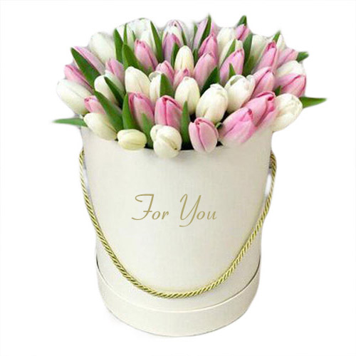 Фото товара 51 біло-рожевий тюльпан у коробці у Тернополі