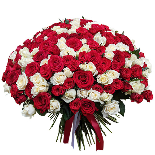 Фото товара 201 червона і біла троянда у Тернополі