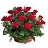 Фото товара 35 троянд "Аква" у Тернополі