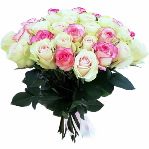 Фото товара 33 кремовые и розовые розы у Тернополі