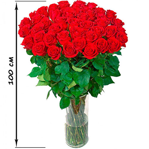 Фото товара 35 високих троянд (100 см) у Тернополі