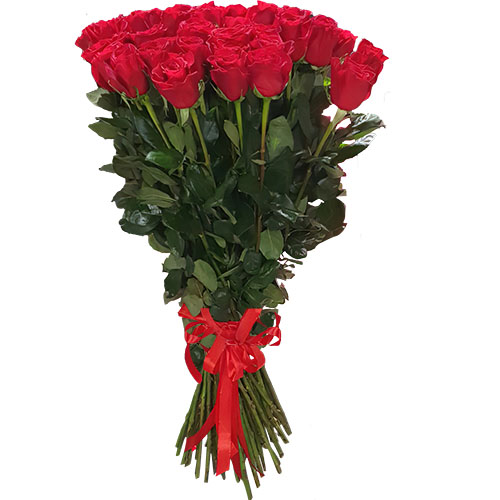 Фото товара 25 метровых роз "Фридом" у Тернополі