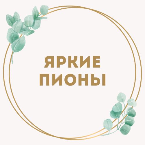 категория товаров Яркие пионы | «Роза Тернополь»