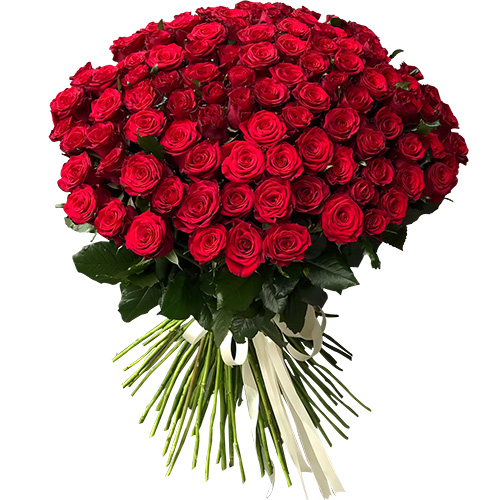 Фото товара 101 роза красная у Тернополі