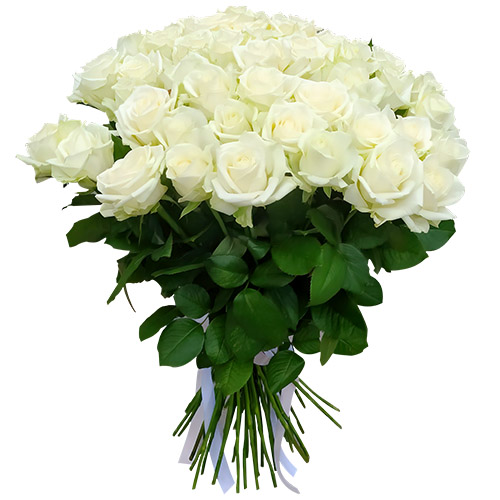 Фото товара 51 роза белая у Тернополі