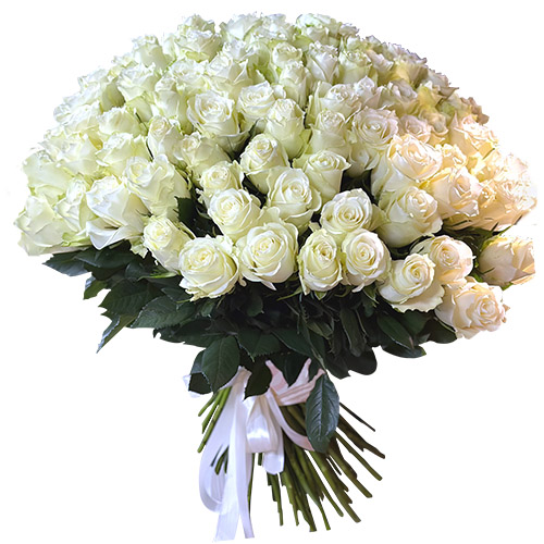 Фото товара 101 біла імпортна троянда у Тернополі