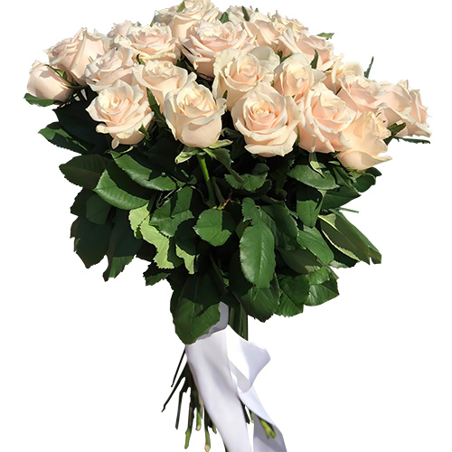 Фото товара Букет із 33 кремових троянд у Тернополі