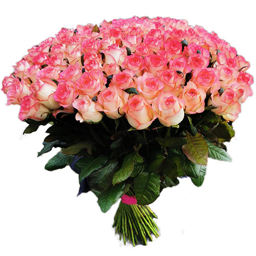 Фото товара Букет троянд 101 Джамілія у Тернополі