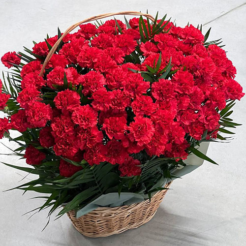 Товар "100 гвоздик у кошику у Тернополі Фото товара 100 гвоздик у кошику у Тернополі